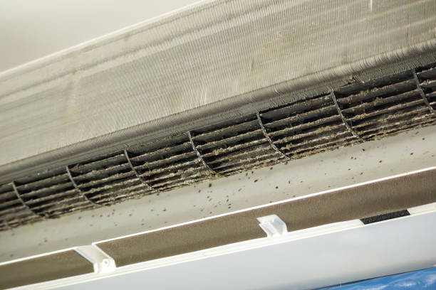 Best Emergency Air Duct Cleaning  in Delisle, MS